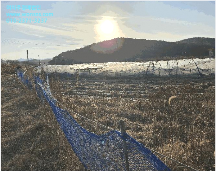 ÅäÁö(´ä) »çÁø1 | ±Ý³²¸é µµ¾Ï¸® 107 | 2025Ÿ°æ4022 | ÅäÁö(´ä)°æ¸Å
