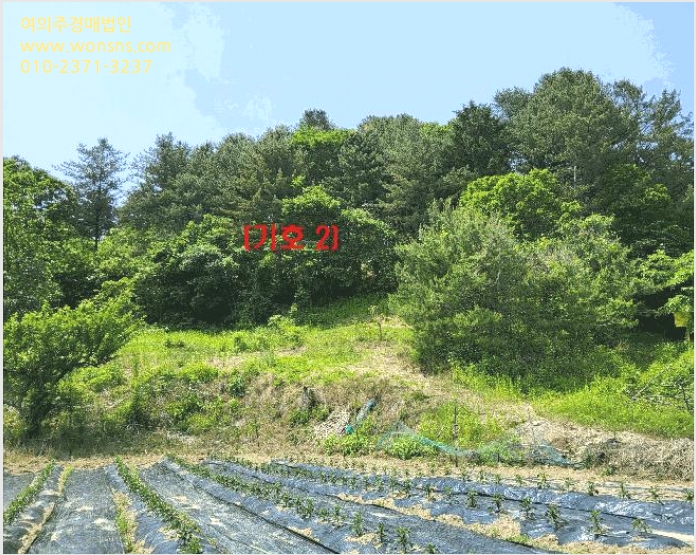 ÅäÁö(ÀÓ¾ß) »çÁø1 | °¡Æò±º °¡ÆòÀ¾ »êÀ¯¸® | 2025Ÿ°æ71698 | ÅäÁö(ÀÓ¾ß)°æ¸Å