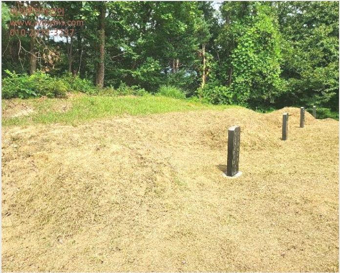 ÅäÁö(´ä) »çÁø1 | ¾çÆò±º ¿Áõ¸é ½Åº¹¸® | 2024Ÿ°æ38245 | ÅäÁö(´ä)°æ¸Å