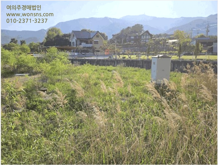 ÅäÁö(´ä) »çÁø1 | ¿ÏÁÖ±º ±¸ÀÌ¸é ¿ø±â¸® | 2025Ÿ°æ31143 | ÅäÁö(´ä)°æ¸Å