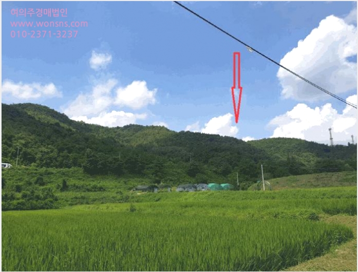 ÅäÁö(ÀÓ¾ß) »çÁø1 | ±¸¹Ì½Ã »êµ¿À¾ ¼Û»ê¸® | 2024Ÿ°æ17655 | ÅäÁö(ÀÓ¾ß)°æ¸Å