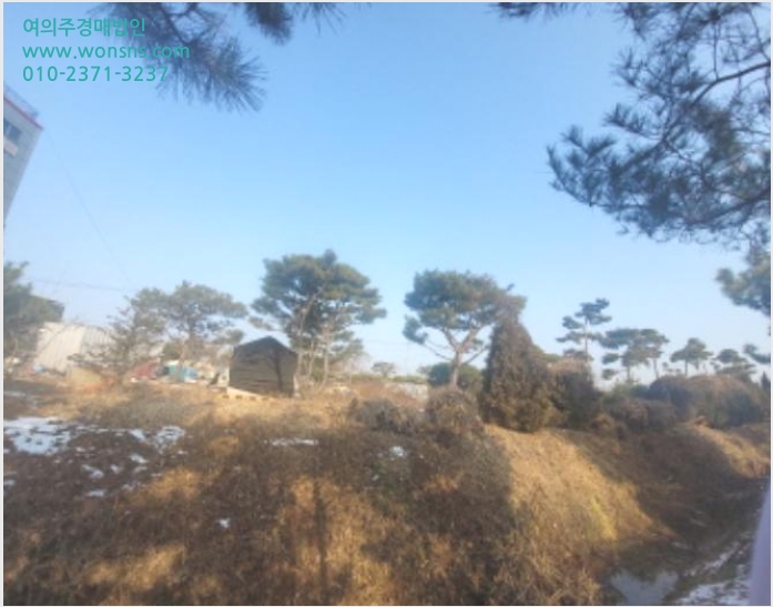 ÅäÁö(Àü) »çÁø1 | Áß±¸ Á߻굿 1097-36 | 2023Ÿ°æ549431 | ÅäÁö(Àü)°æ¸Å