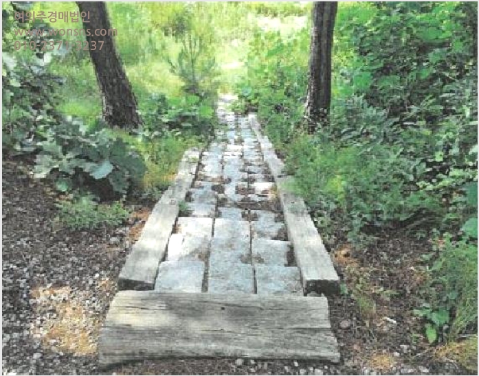 ÅäÁö(ÀÓ¾ß) »çÁø1 | µ¿Çؽà õ°îµ¿ »ê255 | 2025Ÿ°æ30661 | ÅäÁö(ÀÓ¾ß)°æ¸Å