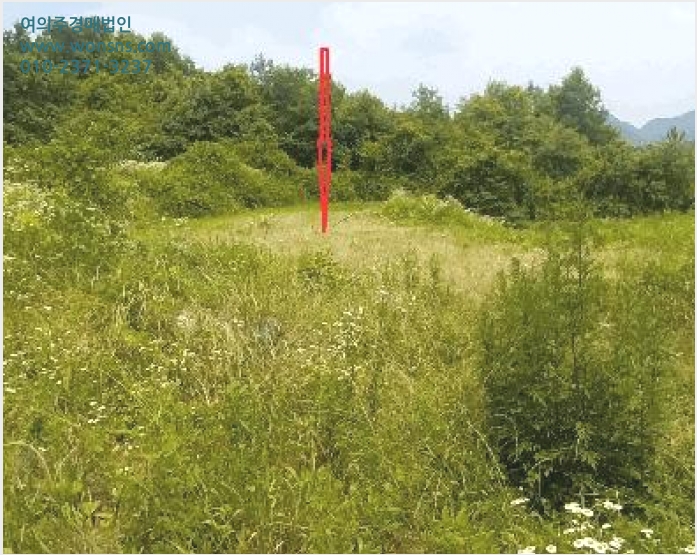 ÅäÁö(´ä) »çÁø1 | ÀӽDZº ¼º¼ö¸é »ïû¸® | 2025Ÿ°æ767 | ÅäÁö(´ä)°æ¸Å
