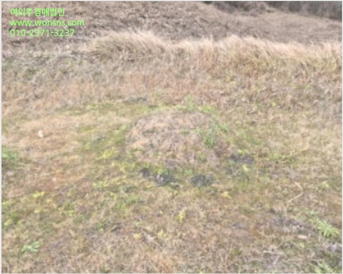 ÅäÁö(ÀÓ¾ß) »çÁø1 | ¿µ±¤±º ¿°»ê¸é ºÀ³²¸® | 2024Ÿ°æ9424 | ÅäÁö(ÀÓ¾ß)°æ¸Å