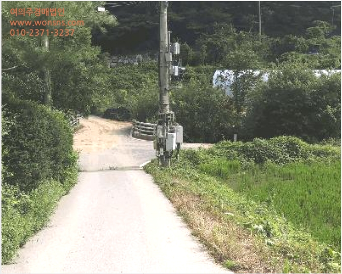 ÅäÁö(´ä) »çÁø1 | ÀüÀÇ¸é ¾ç°î¸® 134-9 | 2025Ÿ°æ502886 | ÅäÁö(´ä)°æ¸Å