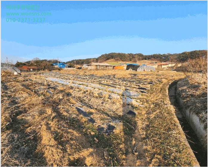 ÅäÁö(Àü) »çÁø1 | È«¼º±º ±¤ÃµÀ¾ ¿ù¸²¸® | 2025Ÿ°æ15567 | ÅäÁö(Àü)°æ¸Å