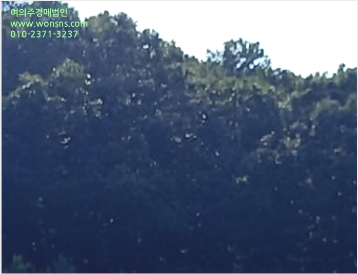 ÅäÁö(Àü) »çÁø1 | ¿¬Ãµ±º ¿Õ¡¸é µ¿Á߸® | 2024Ÿ°æ82608 | ÅäÁö(Àü)°æ¸Å