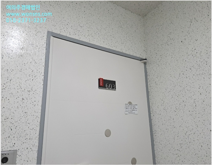 ´Ù¼¼´ë,ºô¶ó »çÁø1 | °¼±¸ Ȱ 105-438 | 2023Ÿ°æ101261 | ´Ù¼¼´ë,ºô¶ó°æ¸Å