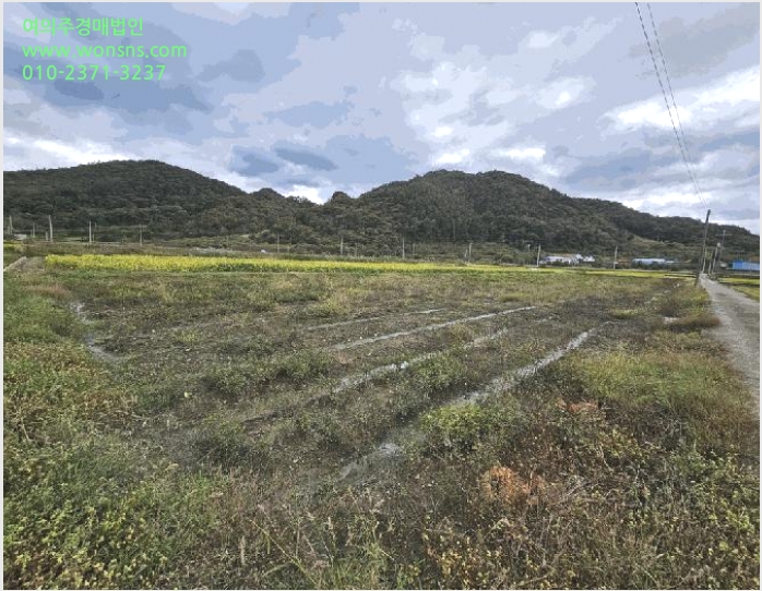 ÅäÁö(´ä) »çÁø1 | ¼øÃµ½Ã ȲÀü¸é ȲÇи® | 2025Ÿ°æ52099 | ÅäÁö(´ä)°æ¸Å