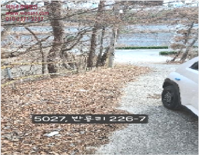 ÅäÁö(ÀÓ¾ß) »çÁø1 | ±âÀ屺 Àå¾ÈÀ¾ ¹Ý·æ¸® | 2025Ÿ°æ5027 | ÅäÁö(ÀÓ¾ß)°æ¸Å