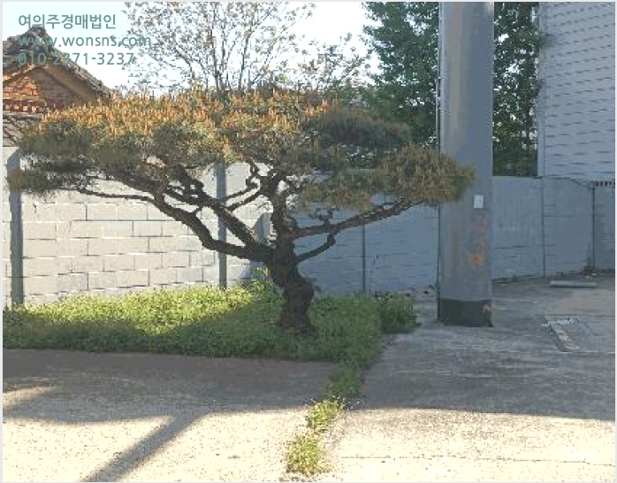 ÁÖÀ¯¼Ò »çÁø1 | ÀÍ»ê½Ã ³²Áßµ¿ 470-9 | 2025Ÿ°æ20790 | ÁÖÀ¯¼Ò°æ¸Å