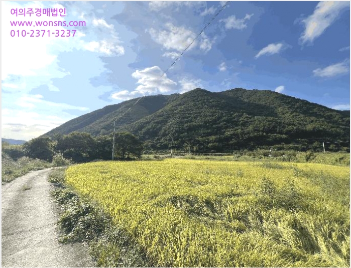 ÅäÁö(´ä) »çÁø1 | â¿ø½Ã ¸¶»êÇÕÆ÷±¸ ÁøÀü¸é | 2025Ÿ°æ20870 | ÅäÁö(´ä)°æ¸Å