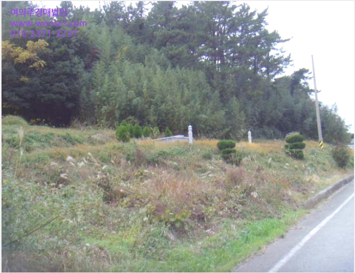 ÅäÁö(ÀÓ¾ß) »çÁø1 | ¿Ïµµ±º º¸±æ¸é Á¤ÀÚ¸® | 2024Ÿ°æ55184 | ÅäÁö(ÀÓ¾ß)°æ¸Å