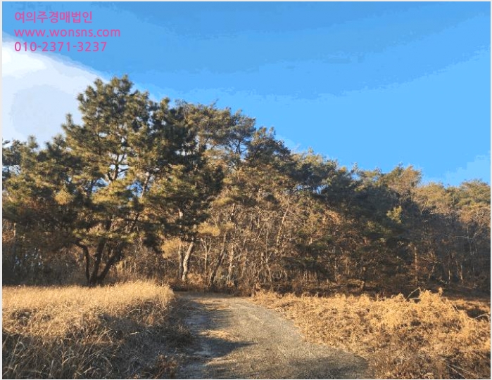 ÅäÁö(ÀÓ¾ß) »çÁø1 | »çõ½Ã °ï¾ç¸é ´ëÁø¸® | 2024Ÿ°æ6624 | ÅäÁö(ÀÓ¾ß)°æ¸Å