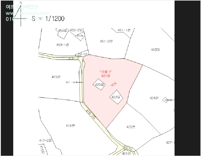 ÅäÁö(Àü) »çÁø1 | Á¦Áֽà ¾Ö¿ùÀ¾ ±¸¾ö¸® | 2025Ÿ°æ1114 | ÅäÁö(Àü)°æ¸Å