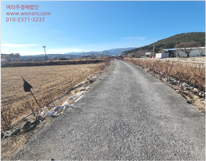 ÅäÁö(Àü) »çÁø1 | Æ÷Ç׽à ºÏ±¸ ¼Û¶ó¸é | 2025Ÿ°æ3075 | ÅäÁö(Àü)°æ¸Å
