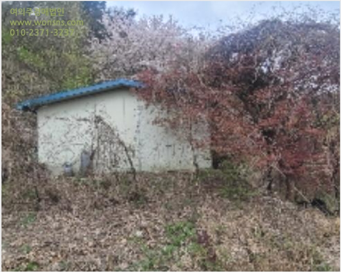 ÅäÁö(ÀÓ¾ß) »çÁø1 | ÇԾȱº Ä¥¿øÀ¾ ¿ëÁ¤¸® | 2024Ÿ°æ784 | ÅäÁö(ÀÓ¾ß)°æ¸Å