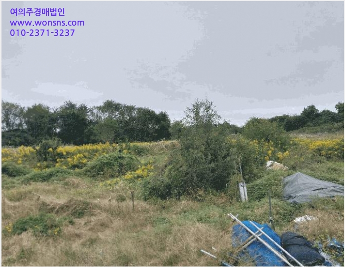 ÅäÁö(ÀÓ¾ß) »çÁø1 | ºÎ¾È±º ºÎ¾ÈÀ¾ ¿¬°î¸® | 2025Ÿ°æ356 | ÅäÁö(ÀÓ¾ß)°æ¸Å