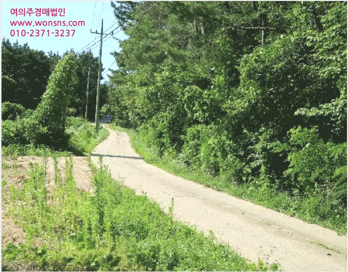 ÅäÁö(ÀÓ¾ß) »çÁø1 | žȱº žÈÀ¾ »è¼±¸® | 2025Ÿ°æ51501 | ÅäÁö(ÀÓ¾ß)°æ¸Å