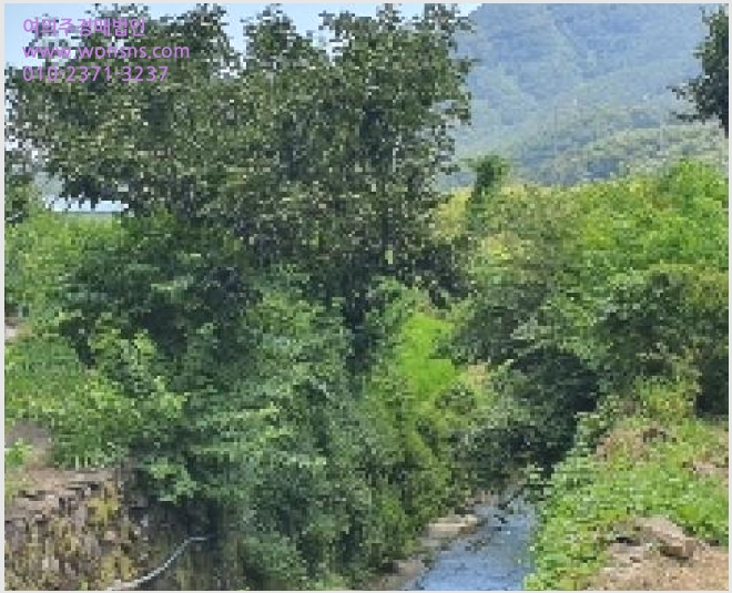 »çÁø7¹øÂ° | 2025Ÿ°æ20728 | °æ»ó³²µµ â¿ø½Ã ¸¶»êÇÕÆ÷±¸ ÁøºÏ¸é ÀӾ߰æ¸Å