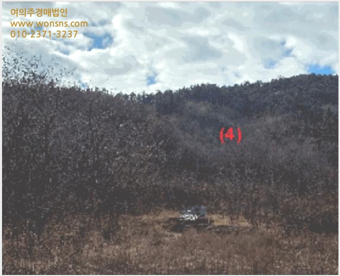 »çÁø1¹øÂ° | 2025Ÿ°æ12988 | ÃæÃ»³²µµ õ¾È½Ã ¼ºÏ±¸ ¼ºÈ¯À¾ ´Ù¼¼´ë(ºô¶ó)°æ¸Å