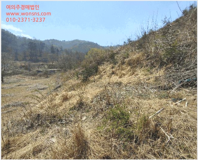 »çÁø3¹øÂ° | 2025Ÿ°æ20290 | ÃæÃ»³²µµ ºÎ¿©±º ºÎ¿©À¾ ¼Û°î¸® ÀӾ߰æ¸Å