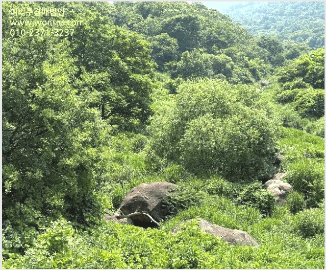 »çÁø9¹øÂ° | 2025Ÿ°æ51660 | Àü¶ó³²µµ ±¤¾ç½Ã ´Ù¾Ð¸é ÇÏõ¸® ÀӾ߰æ¸Å