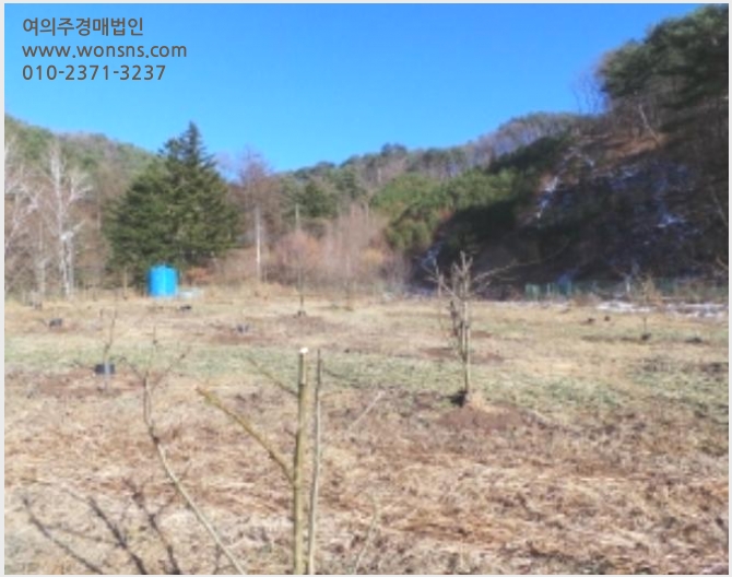 »çÁø9¹øÂ° | 2024Ÿ°æ33397 | °¿øÆ¯º°ÀÚÄ¡µµ Æòⱺ ºÀÆò¸é ¿ø±æ¸® Àü°æ¸Å