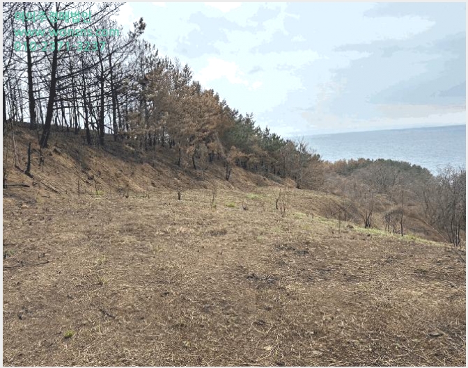 »çÁø4¹øÂ° | 2025Ÿ°æ387 | °æ»óºÏµµ ¿µ´ö±º ¿µ´öÀ¾ âÆ÷¸® Àü°æ¸Å
