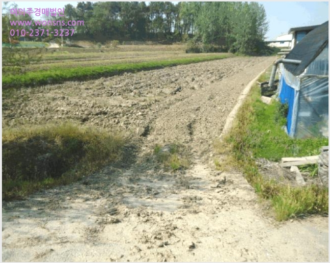 »çÁø10¹øÂ° | 2025Ÿ°æ41703 | °æ±âµµ ÆòÅýà °í´ö¸é ´çÇö¸® ´ä°æ¸Å