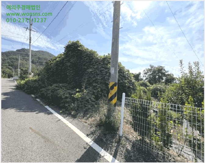 »çÁø6¹øÂ° | 2025Ÿ°æ96 | ÃæÃ»ºÏµµ ¿µµ¿±º ¾ç»ê¸é ¼öµÎ¸® Àü°æ¸Å