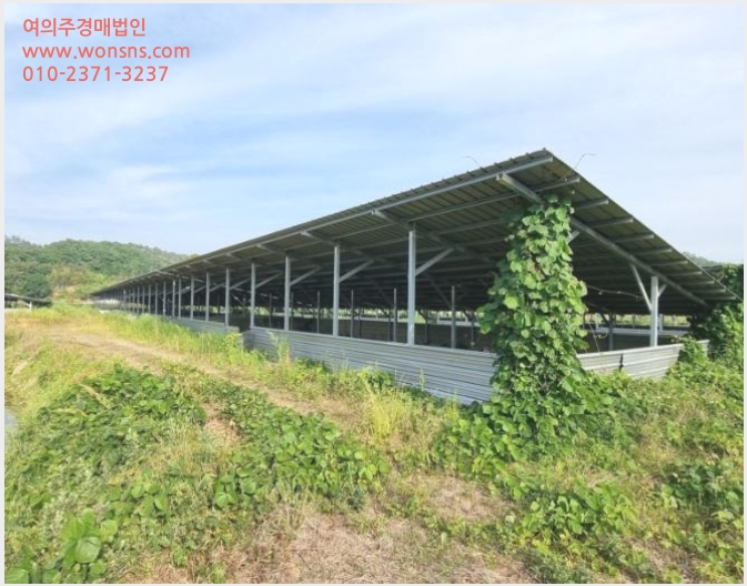 »çÁø8¹øÂ° | 2024Ÿ°æ1956 | ÀüºÏƯº°ÀÚÄ¡µµ ±º»ê½Ã ¼º»ê¸é ¿©¹æ¸® Ãà»ç(³ó°¡½Ã¼³)°æ¸Å