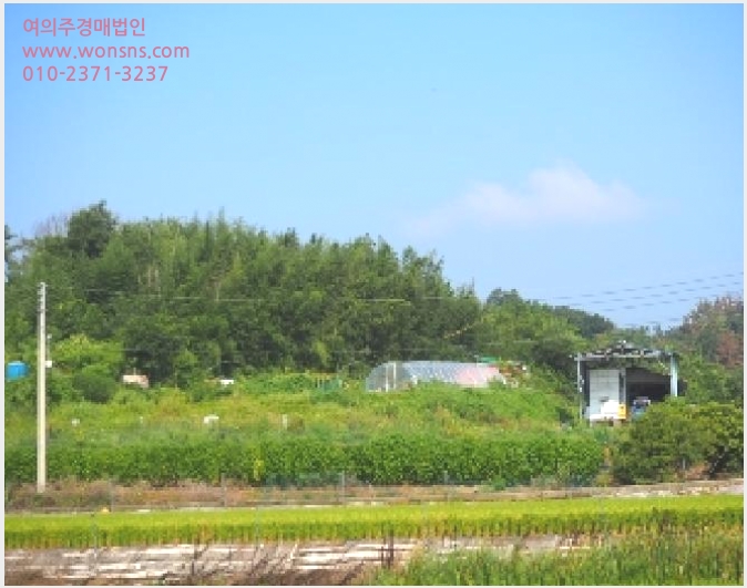 »çÁø4¹øÂ° | 2025Ÿ°æ10450 | °æ»ó³²µµ â³ç±º ´ëÁö¸é ¿ë¼Ò¸® Àü°æ¸Å