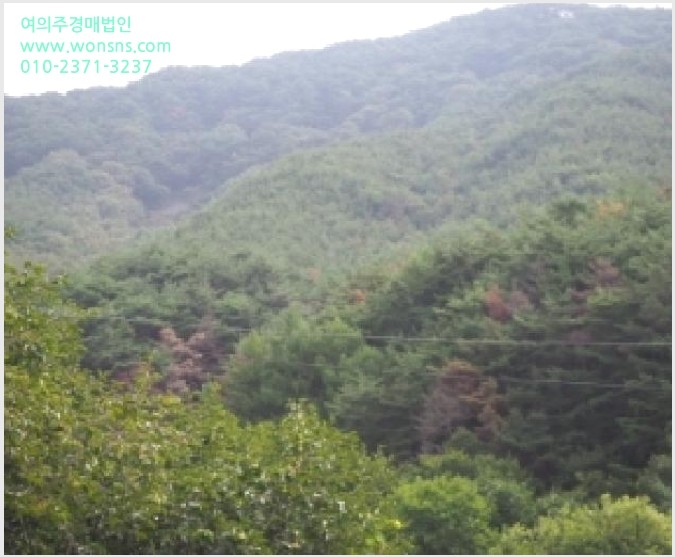 »çÁø2¹øÂ° | 2025Ÿ°æ10479 | °æ»ó³²µµ ¹Ð¾ç½Ã »óµ¿¸é µµ°î¸® ÀӾ߰æ¸Å