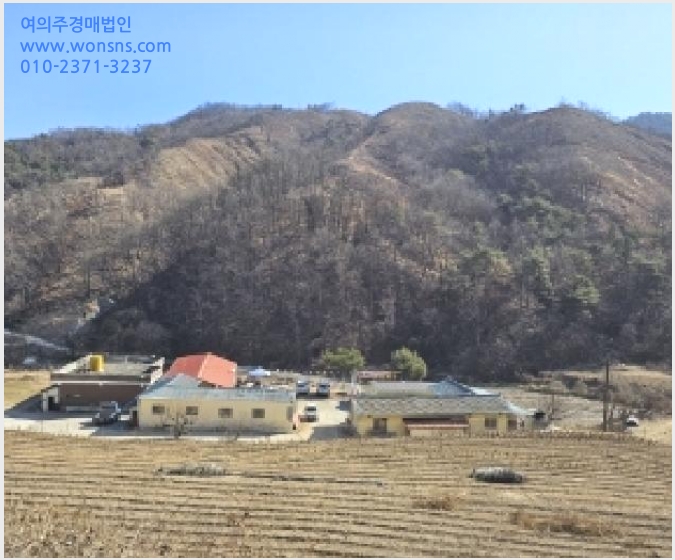 »çÁø4¹øÂ° | 2025Ÿ°æ10167 | °æ»óºÏµµ ¿µÁֽà ÆòÀº¸é ¿À¿î¸® Àü°æ¸Å