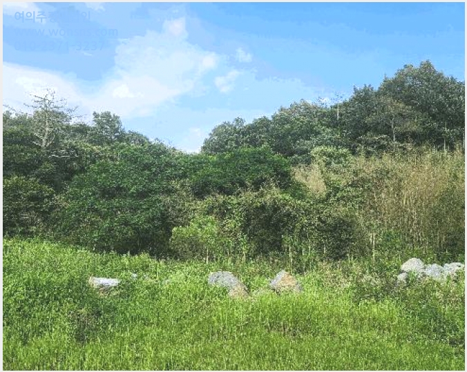 »çÁø9¹øÂ° | 2025Ÿ°æ567 | Àü¶ó³²µµ ¼øÃµ½Ã ´ë´ëµ¿ 1400 Àü°æ¸Å