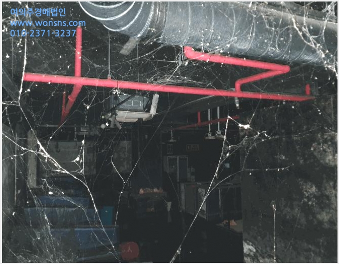»çÁø10¹øÂ° | 2026Ÿ°æ10317 | ÃæÃ»³²µµ õ¾È½Ã µ¿³²±¸ ¾È¼µ¿ ±Ù¸°»ó°¡°æ¸Å