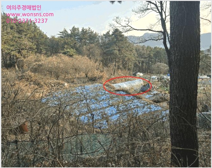 »çÁø7¹øÂ° | 2025Ÿ°æ102114 | ºÎ»ê±¤¿ª½Ã ºÏ±¸ ¸¸´öµ¿ »ê5 ÀӾ߰æ¸Å