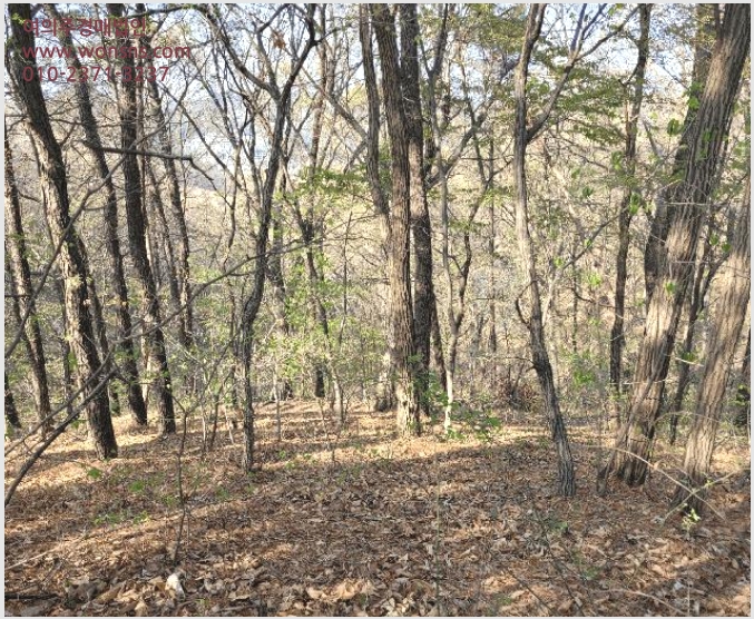 »çÁø3¹øÂ° | 2025Ÿ°æ41665 | °æ±âµµ ÆòÅýà Áö»êµ¿ »ê77 ÀӾ߰æ¸Å