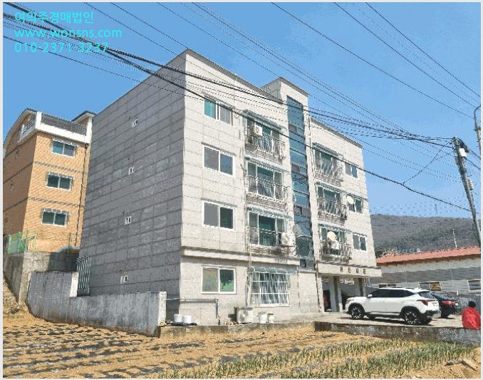 »çÁø6¹øÂ° | 2026Ÿ°æ60680 | °æ±âµµ °í¾ç½Ã ´ö¾ç±¸ ³»À¯µ¿ ´Ù¼¼´ë(ºô¶ó)°æ¸Å