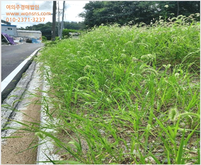 »çÁø8¹øÂ° | 2025Ÿ°æ21136 | ÀüºÏƯº°ÀÚÄ¡µµ ÀÍ»ê½Ã ¼º´ç¸é µÎµ¿¸® °øÀå°æ¸Å