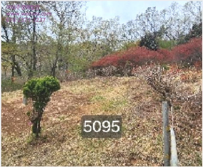 »çÁø3¹øÂ° | 2025Ÿ°æ5095 | ºÎ»ê±¤¿ª½Ã ±âÀ屺 Á¤°üÀ¾ ¿ùÆò¸® ÀӾ߰æ¸Å