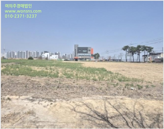 »çÁø10¹øÂ° | 2025Ÿ°æ295 | °æ»óºÏµµ Æ÷Ç׽à ºÏ±¸ ÈïÇØÀ¾ ´ëÁö°æ¸Å
