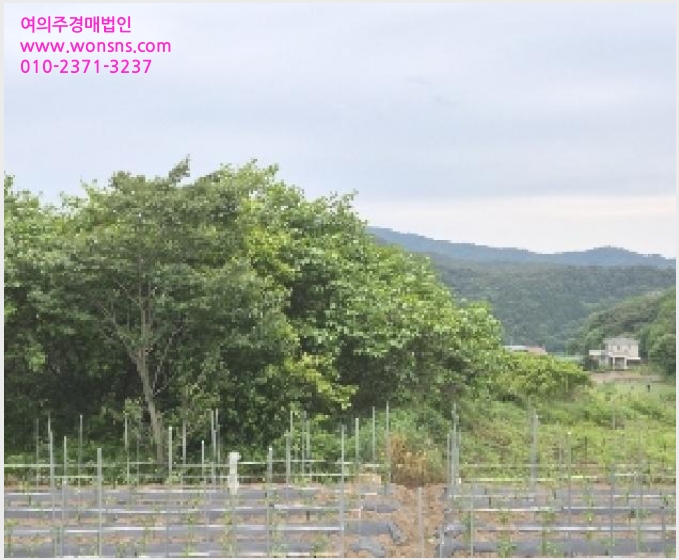 »çÁø4¹øÂ° | 2025Ÿ°æ32819 | Àü¶ó³²µµ À强±º »ï°è¸é Ȼ긮 Àü°æ¸Å