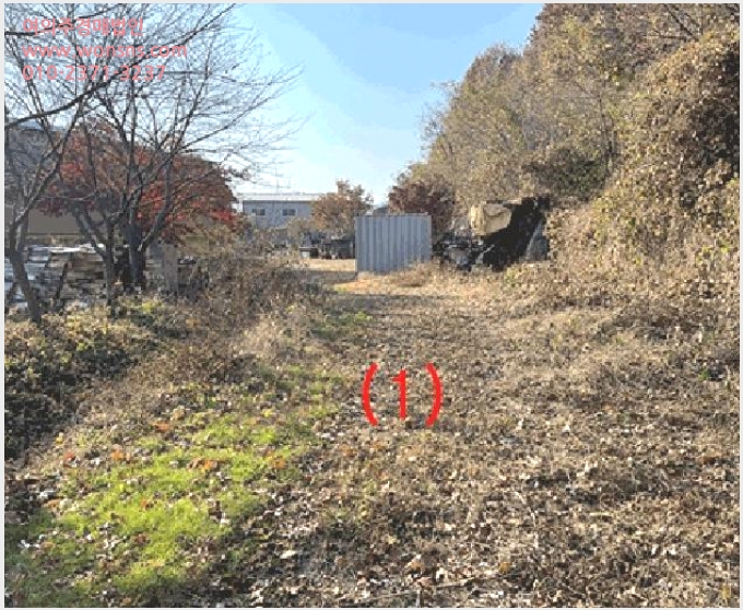 »çÁø1¹øÂ° | 2025Ÿ°æ42908 | °æ±âµµ ÆòÅýà ûºÏÀ¾ ÈĻ縮 ´ä°æ¸Å
