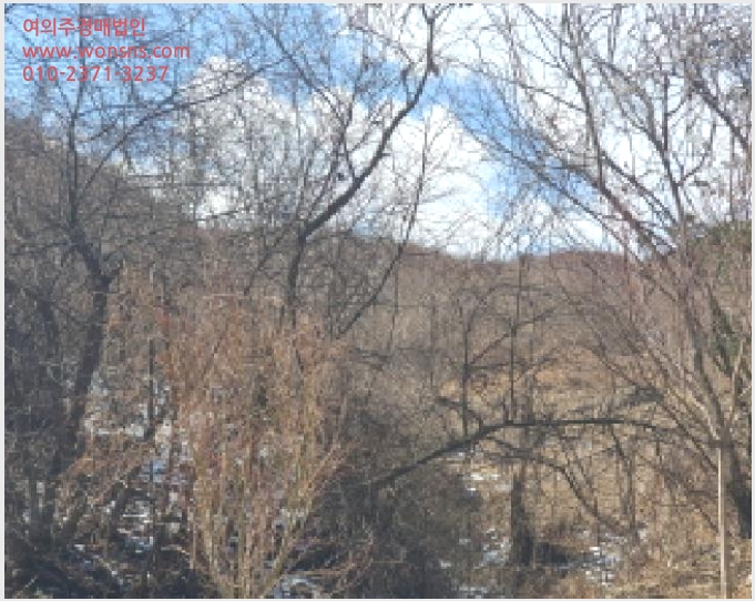 »çÁø4¹øÂ° | 2025Ÿ°æ71286 | °æ±âµµ °¡Æò±º °¡ÆòÀ¾ »êÀ¯¸® Àü°æ¸Å