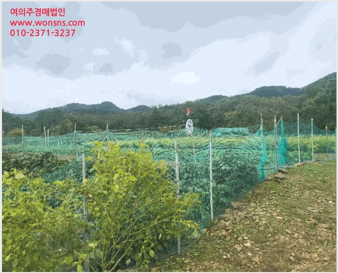 »çÁø7¹øÂ° | 2025Ÿ°æ9318 | °æ»óºÏµµ Ä¥°î±º ºÏ»ïÀ¾ ¾î·Î¸® Àü°æ¸Å