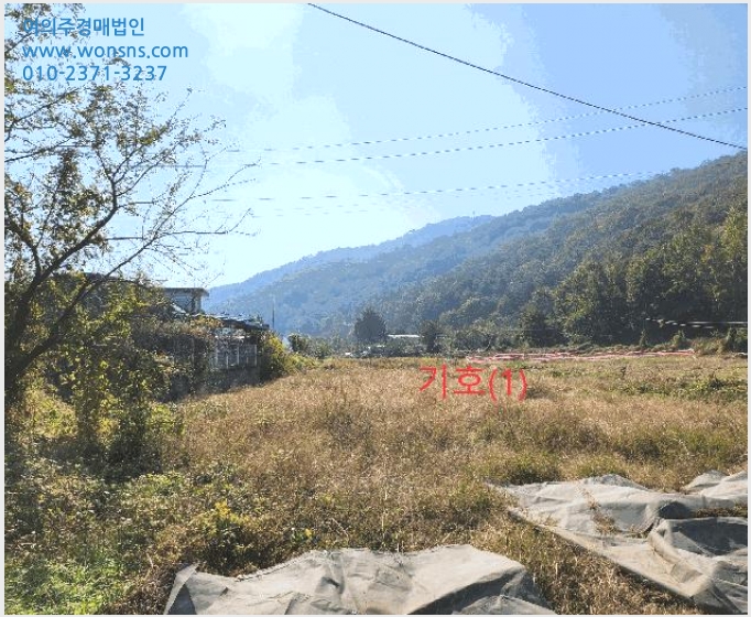 »çÁø8¹øÂ° | 2025Ÿ°æ3224 | °æ»óºÏµµ °í·É±º ¿ì°î¸é ¼Ó¸® Àü°æ¸Å