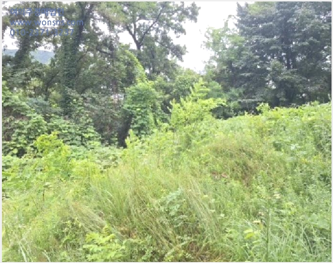 »çÁø1¹øÂ° | 2025Ÿ°æ510510 | ÀÎõ±¤¿ª½Ã ¿¬¼ö±¸ ¿Á·Ãµ¿ »ê50-1 ÀӾ߰æ¸Å